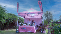 Custom Canopy Tent with Full Back Wall, Half Side Walls & Feather Flags