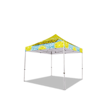 Custom Canopy Tent with Full Back, Half Side Walls, Feather Flags & Table Cover