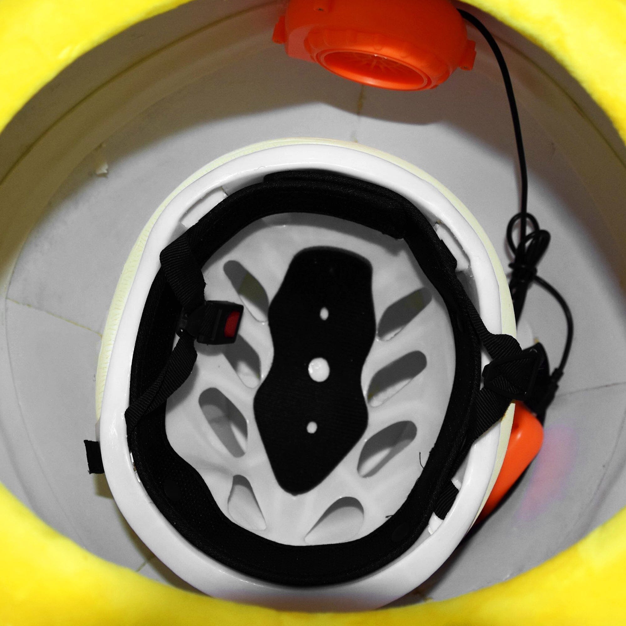 Custom Mascot Costume