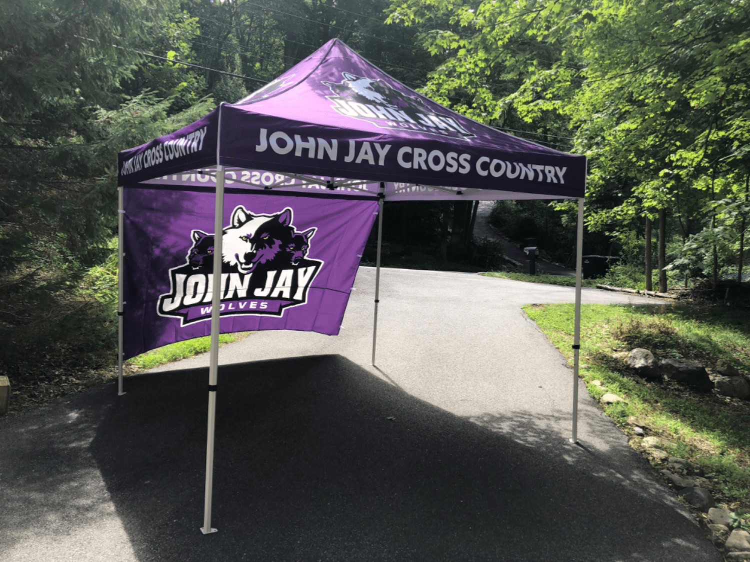 Custom Canopy Tent Everyday Silver Package 